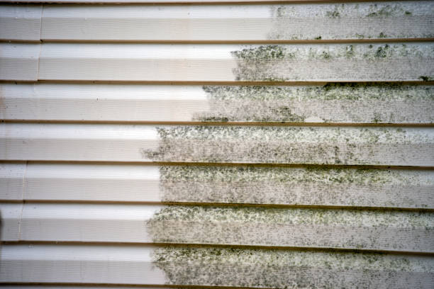 Best Composite Siding  in Santa Rosa, CA
