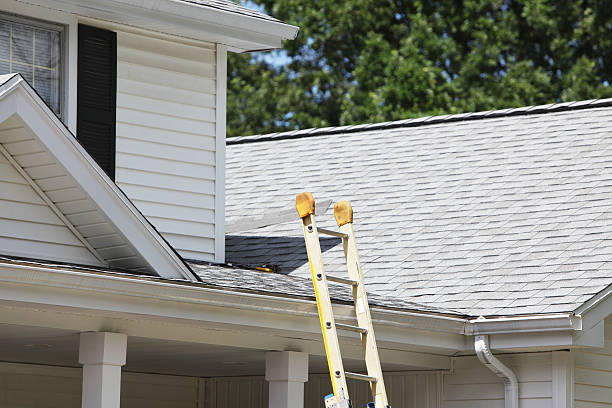 Best Historical Building Siding Restoration  in Santa Rosa, CA